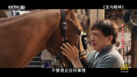 91视频观看视频